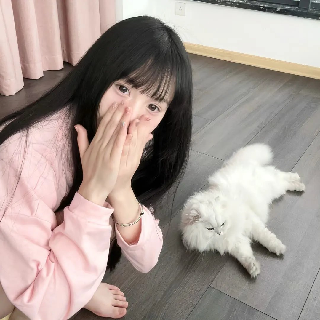 虎毒不